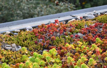 the cost of Hafod Grove green roof installation