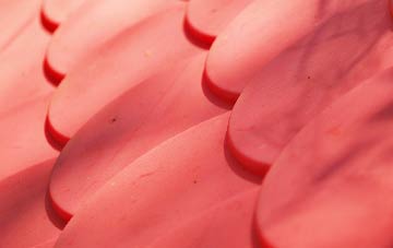 Hafod Grove plastic roof costs