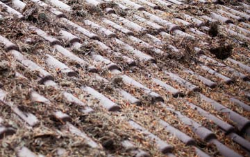 Hafod Grove roof cleaning companies