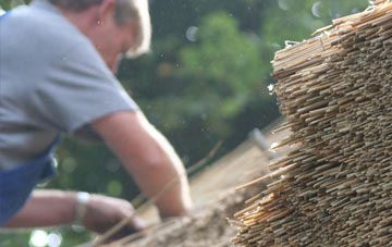 professional Hafod Grove thatchers