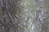 Hafod Grove fibreglass roof work